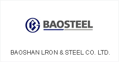 BAOSTEEL GROUP CORPORATION 